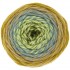 Fil Ricorumi spin spin réf.012 Olive