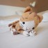 Kit Crochet Caramel, le chaton – Coffret Complet, Patron PDF